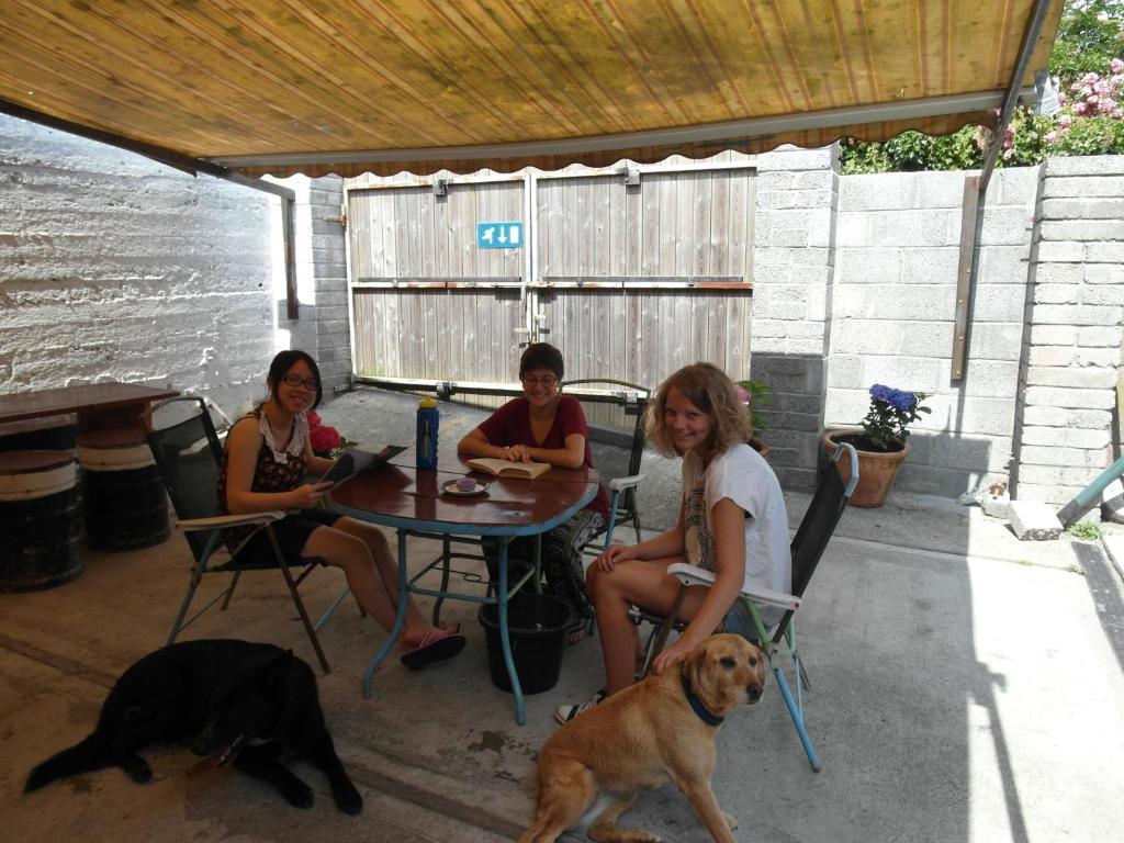 Macgabhainns Backpackers Hostel キルケニー エクステリア 写真